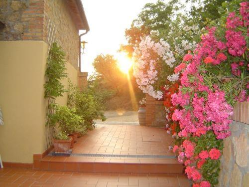 Agriturismo Colombaiolo Pienza Exteriör bild