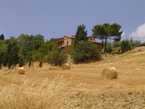 Agriturismo Colombaiolo Pienza Exteriör bild