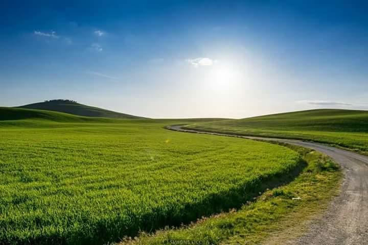 Agriturismo Colombaiolo Pienza Exteriör bild