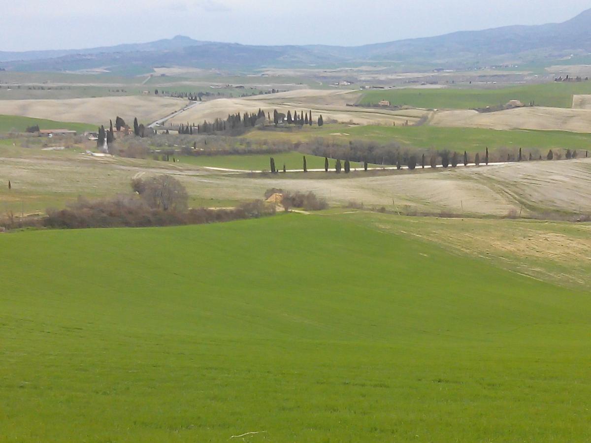 Agriturismo Colombaiolo Pienza Exteriör bild